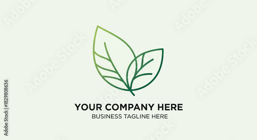 Two Gradient Green Leaves with Veins, Minimalist Design, Organic Concept