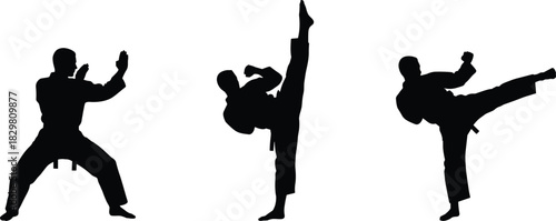 Martial arts silhouettes, high kick, side kick, defensive stance, posture, gesture, behavior, black, minimal, abstract, people, action, concept, representation, discipline, movement, anatomy