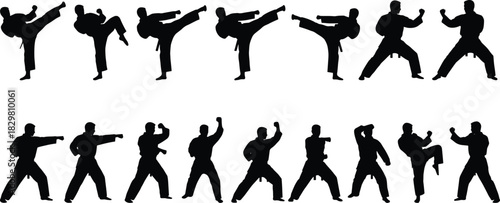 Martial arts silhouettes, kicking, punching, blocking, stances, uniform, belt, posture, movement, behavior, training, combat, black, minimal, abstract, people, action, discipline