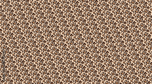 Seamless leopard animal skin pattern vector background