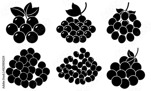 Delicious grape cluster assortment, a versatile fruit illustration for healthy lifestyle designs, culinary projects, and vibrant food themes, originally vector art