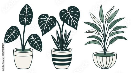 Flat vector collection of botanical houseplants with interchangeable pots