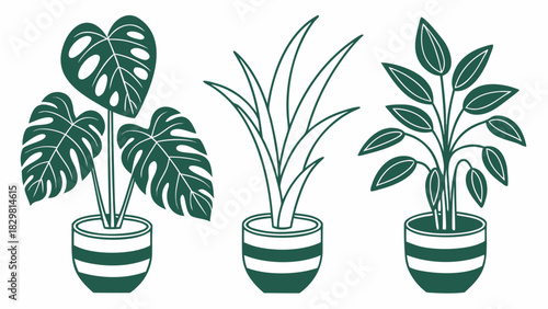 Flat vector collection of botanical houseplants with interchangeable pots