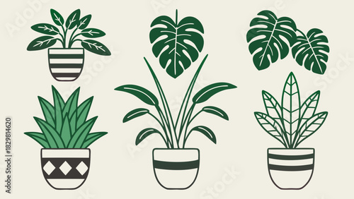 Flat vector collection of botanical houseplants with interchangeable pots