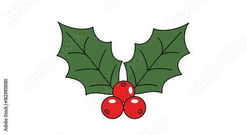 Vibrant green holly leaves adorned with bright red berries, a traditional symbol of joy and warmth for winter festivities and holiday celebrations, set against a clean white backdrop