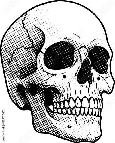 Create Sword silhouette collection, swords vector illustration. Medieval sword, dagger, cross guard. Black weapon designs, different shapes and styles isolated