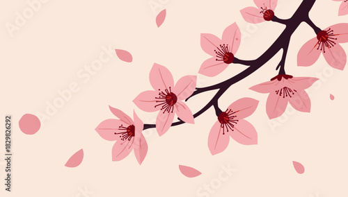 Cherry blossom branch lunar new year delicate pink sakura flowers on soft beige background spring serenity concept