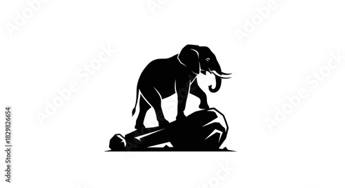 Silhouette of an elephant standing on a rock.