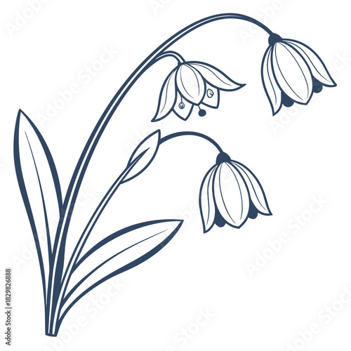 Elegant blue line art illustration of bell shaped flowers and leaves
