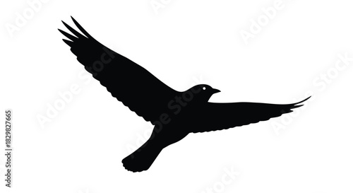 Vector file placeholder for design projects, graphic illustrations, scalable images, digital art, editable graphics, and creative assets. Vector