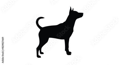 Vector file text concept on a clean white background, representing digital assets, graphic design, and editable scalable artwork for various creative projects. Vector