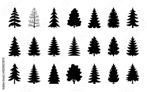 Massive Tree Vector Collection, Coniferous and Deciduous Plant Silhouette and Color Icon Set