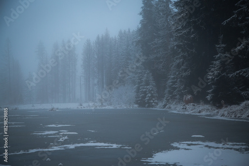 Frozen lake with fog and snowy forest in winter dawn