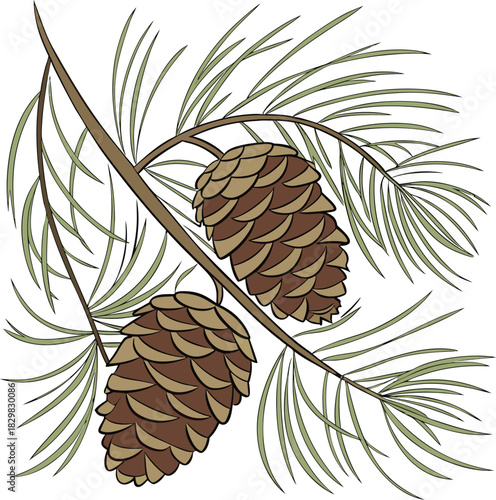 Watercolor Illustration of Pine Cones Nestled Among Lush Green Pine Needles.