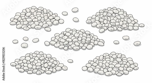 Illustration of dried beans, scattered around five piles of white beans, is perfect for showcasing these versatile legumes. Heaps of dried beans create a simple yet compelling scene,