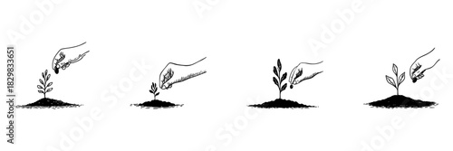 Hand Planting Seeds And Growing Plants Doodle Sketch Set. Growth And Cultivation Process In Hand Drawn Style Collection. Agricultural Development And Sustainability. Isolated Vector Illustration