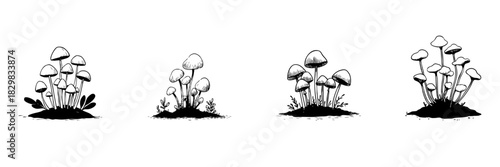 Mushroom Cluster Doodle Sketch Set. Fungi Growth And Natural Habitat Illustration In Hand Drawn Style Collection. Botanical And Mycological Study. Isolated Vector Illustration