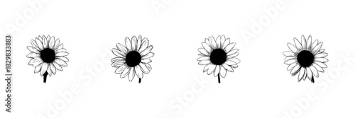 Sunflower Doodle Sketch Set. Nature Beauty And Floral Artistry In Hand Drawn Style Collection. Botanical Illustration. Isolated Vector Illustration