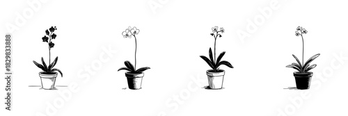 Potted Orchid Plants Doodle Sketch Set. Botanical Elegance And Indoor Gardening In Hand Drawn Style Collection. Floral Decoration And Home Aesthetics. Isolated Vector Illustration