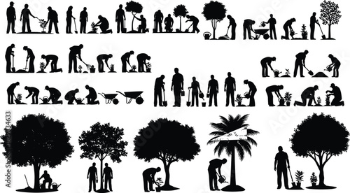 Tree planting silhouettes, environmental care, digging, watering, growing trees, nature conservation, green activity, ecology support, black figures, flat vector
