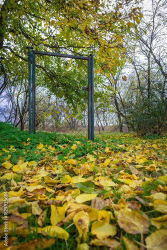Wallpaper Mural Golden autumn leaves blanket the green grass beneath bare branches, leading the eye to a weathered metal gate and silent trees in a quiet forest clearing under soft, pale sky of early fall! Torontodigital.ca
