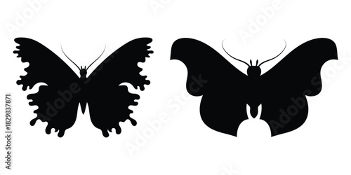 Modern vector artistic beautiful flying insect icons set. Black butterfly icons set on white background. Dark silhouette of butterfly icons on white page. EPS 10. 