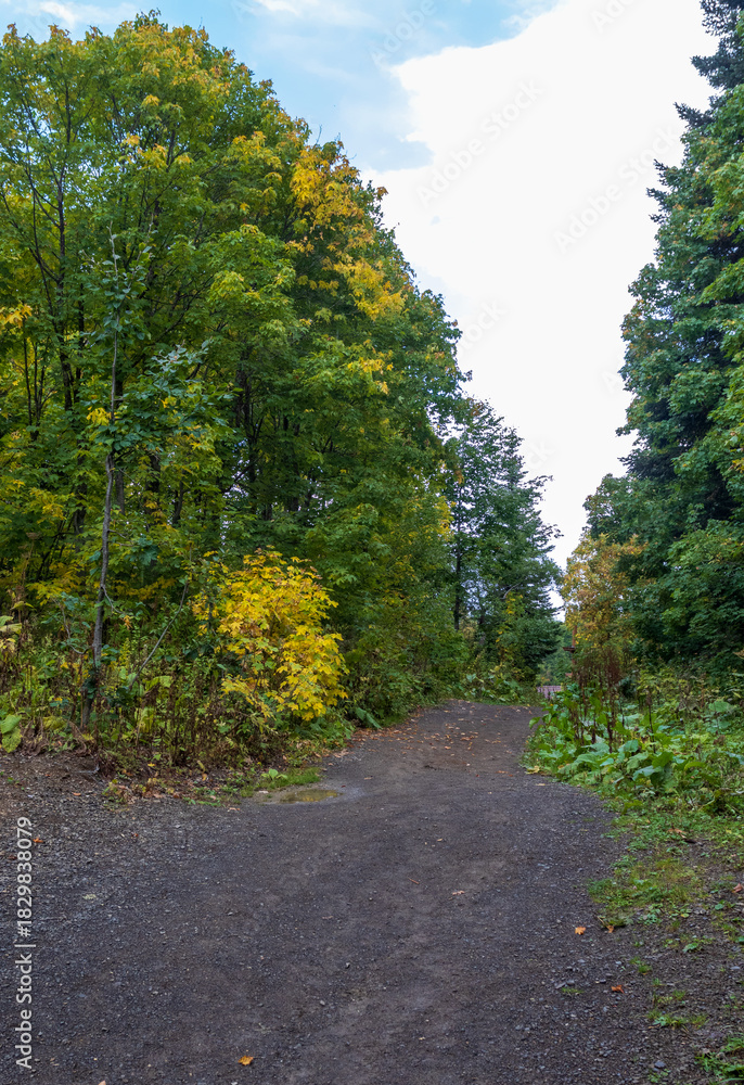 Naklejka premium woodlands, panorama of a mountainous area in a natural park, sunny day, clear weather, clear air, blue sky, expanse of terrain, hills, flora, flora