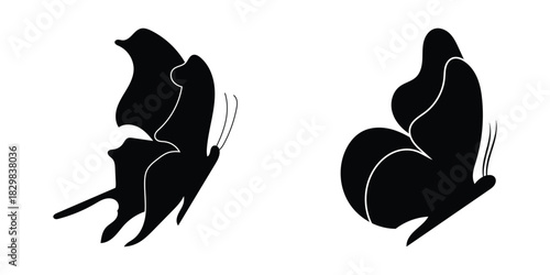 Modern vector artistic beautiful flying insect icons set. Black butterfly icons set on white background. Dark silhouette of butterfly icons on white page. EPS 10. 