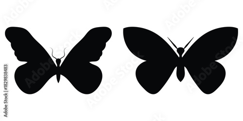 Dark vintage modern isolated butterfly icons set on white background. Black flying decoration silhouette of butterflies. Different shapes beautiful butterfly icons set. EPS 10. 