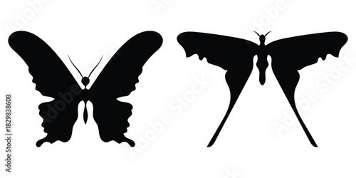 Dark vintage modern isolated butterfly icons set on white background. Black flying decoration silhouette of butterflies. Different shapes beautiful butterfly icons set. EPS 10. 