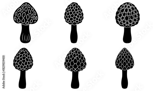 Delicate morel mushroom drawings for culinary design projects, foraging guides, and nature-inspired art - A touch of woodland charm and gourmet appeal.