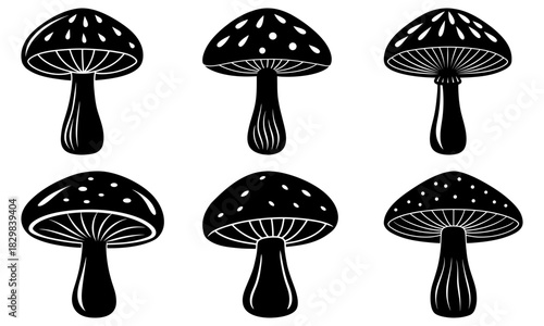 Charming mushroom medley, whimsical forest fungi pattern, nature's delight, artistic woodland illustration, storybook element, rustic elegance, magical.