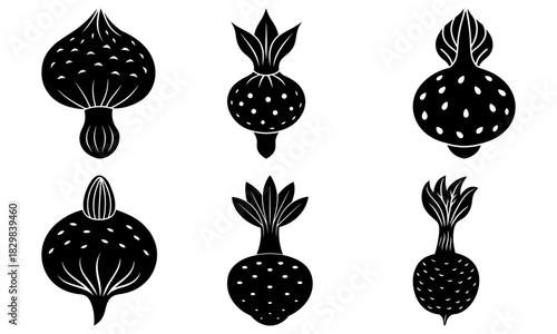 Whimsical turnip collection: A charming hand-drawn botanical set perfect for food blogs, recipe cards, or farm-to-table designs with a rustic vibe