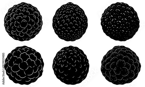 Delicious blackberries, a healthy fruit option, beautiful vector style, natural sweetness, perfect for recipes and summer treats, a taste of nature's bounty