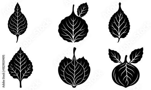Elegant leaf silhouettes for creative designs, botanical illustrations, or nature-inspired projects, enhancing visual appeal with delicate foliage elements