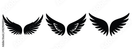 angel wings silhouette vector icon set