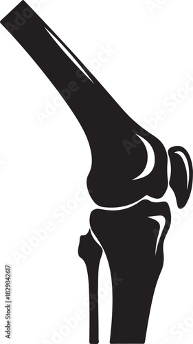 Silhouette of human knee joint white