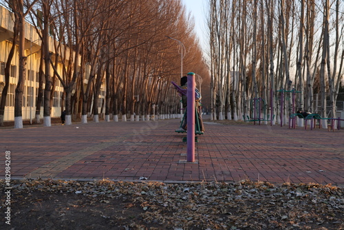 people exercising in the park