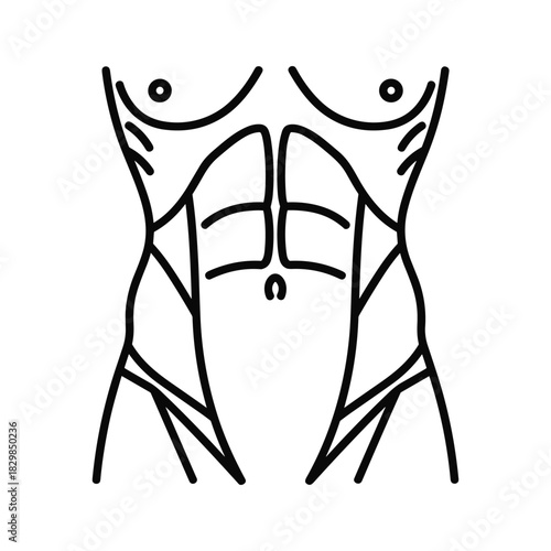 Outline Icon of Muscular Torso with Defined Abdominal Muscles