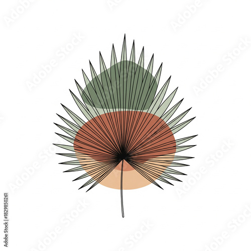 chinese fan isolated on white