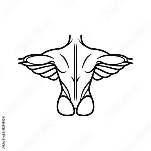 Stylized Human Back Muscles Outline with Wing-like Shoulders