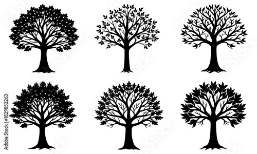 Botanical diversity with six vector tree illustrations, perfect for nature-inspired designs and environmental projects, conveying natural beauty and growth