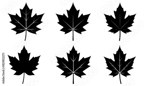 Striking maple leaf collection, symbolizing Canadian pride and autumn beauty perfect for design projects and patriotic themes, originally scalable vector graphic