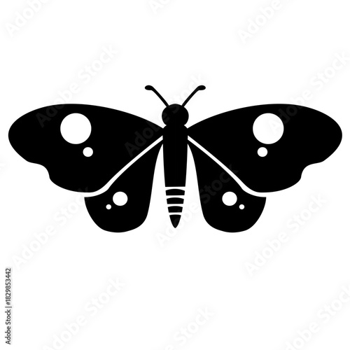 beautiful butterfly silhouette