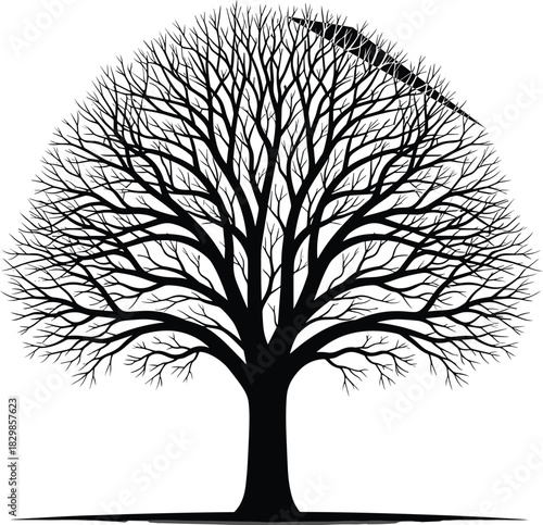 Black and White Monochrome Vector Silhouette of a Bare Tree with Intricate Branches, Symbolizing Winter, Nature, Loneliness, Growth, and Life Cycle Concepts