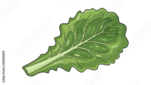 Lettuce leaf illustration in vibrant green color showcasing freshness and health
