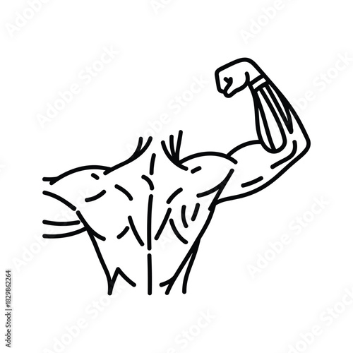 Muscular Torso and Flexed Bicep Line Art