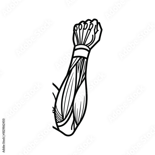 Stylized Muscular Human Arm with Clenched Fist and Exposed Tendons