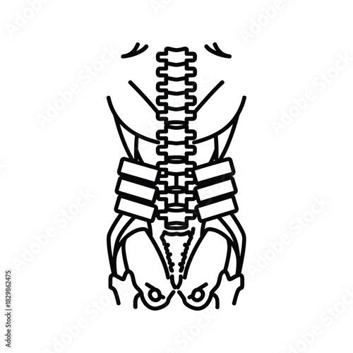 Spine, Pelvis, and Lumbar Back Brace Outline Icon