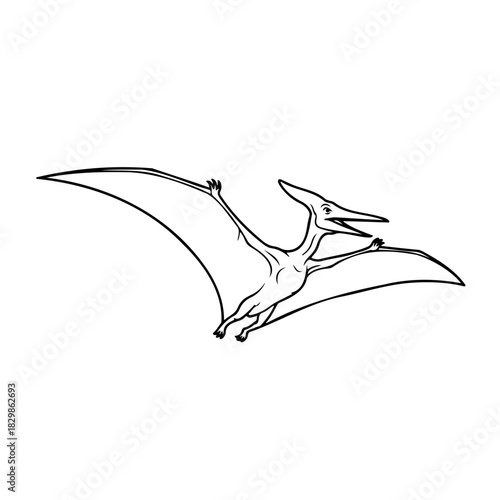 A line drawing of a pterodactyl flying with its mouth open in the air